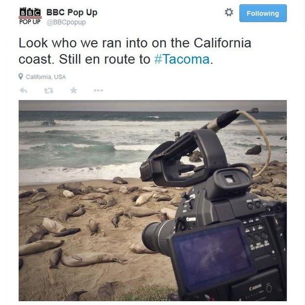 Twitter post of seals in California