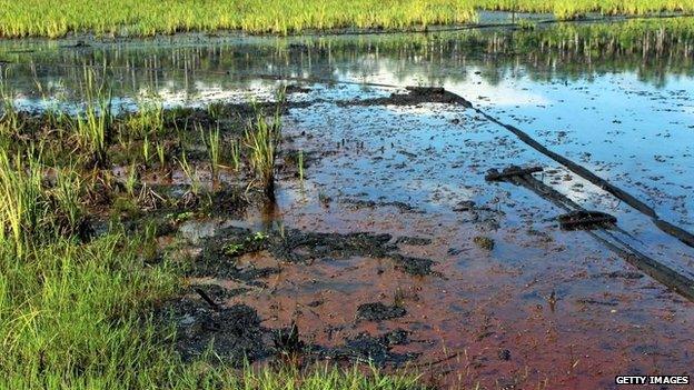 Undated picture released in Lima Feb 6 Union of Indigenous People in Defence of their Territories (PUINAMUDT, showing pollution in Maranon river basin in Northern Peru