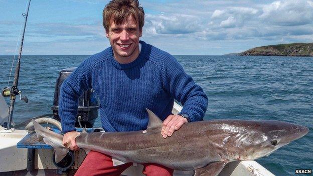 Big fish