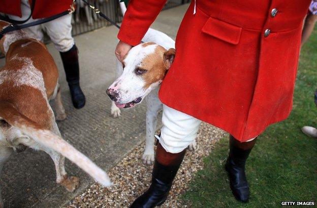 Huntsmen and their hounds