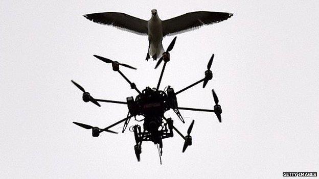 drone flies near a bird