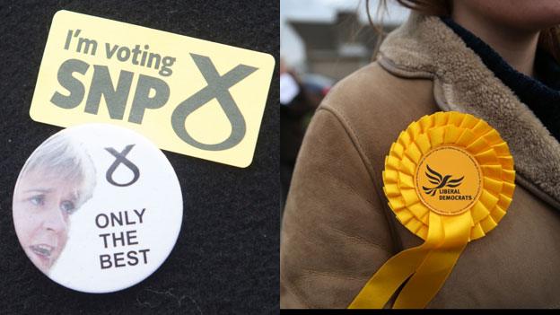 SNP badge and Lib Dem rosette