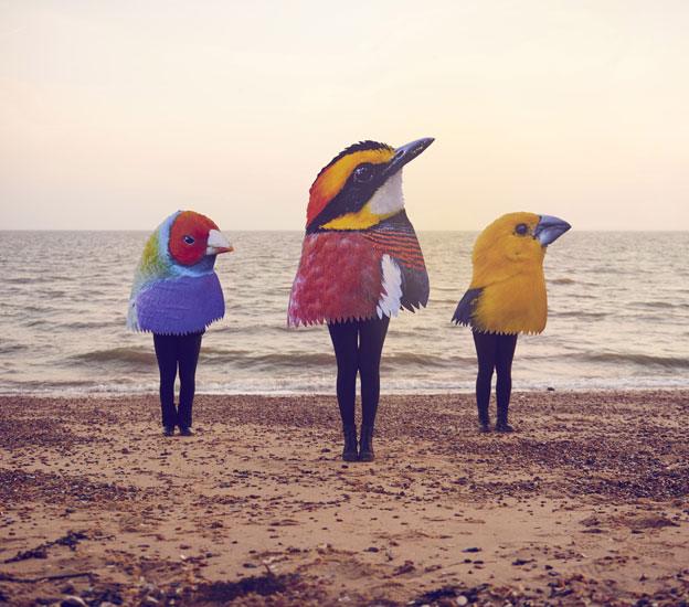 Three people standing on the beach wearing huge bird heads