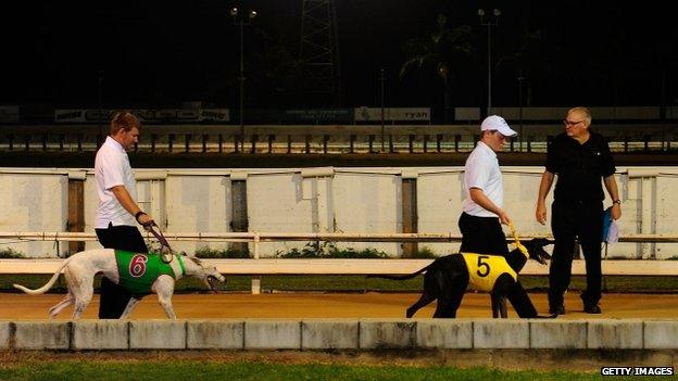 A greyhound track in Australia