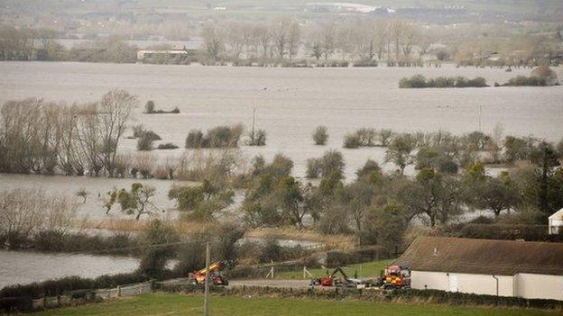 Somerset Levels, near Burrowbridge