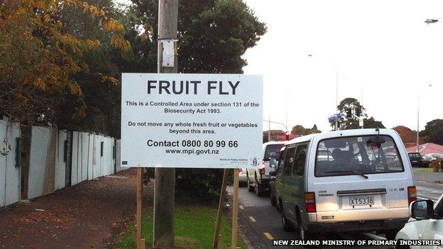 A sign warning of a fruit fly exclusion zone in New Zealand