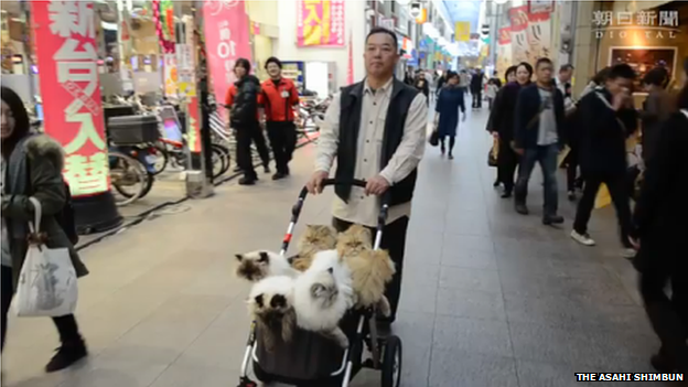 Masahiko Suga with his cats on a street