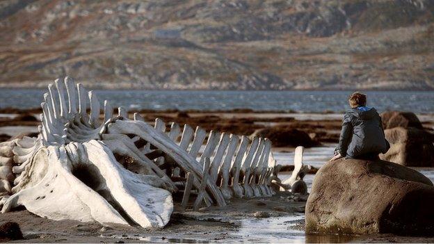 A scene from Russian film Leviathan