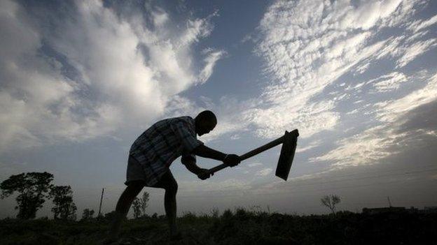 Indian farmer