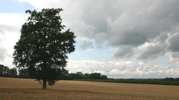 Field in Surrey