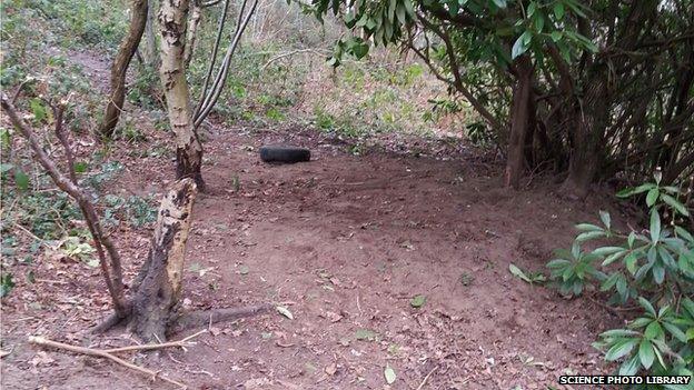 Site of the destroyed badger sett