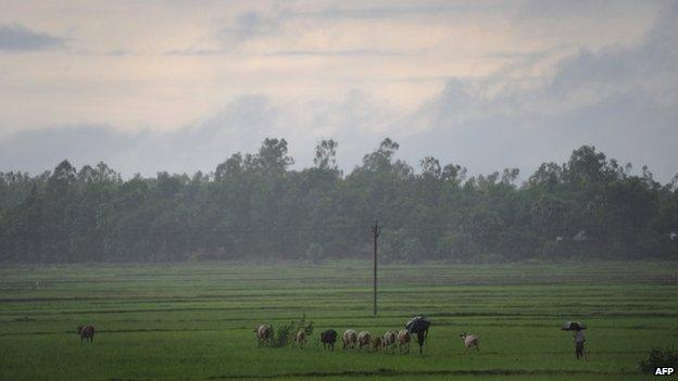 Indian farmer