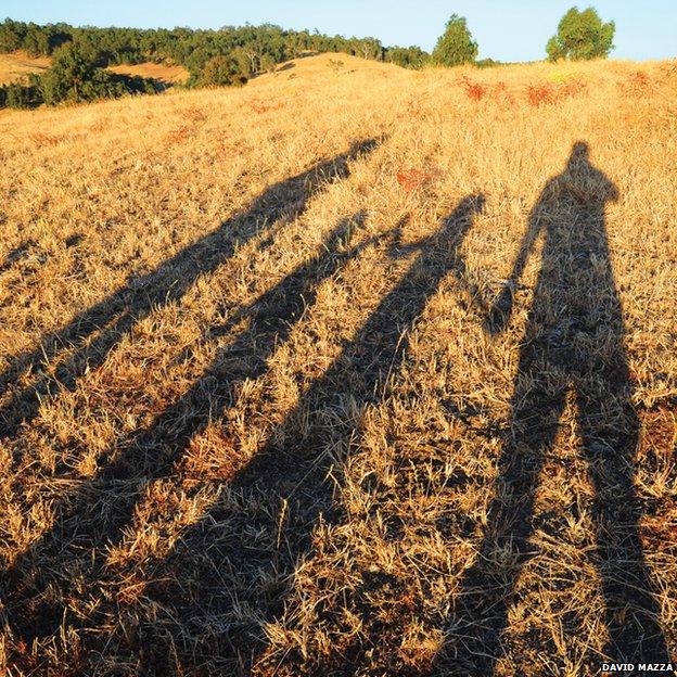 Shadows of people holding hands