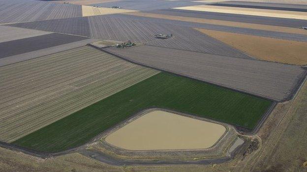 Agricultural crops in Queensland, including legumes, wheat, barley and sorghum