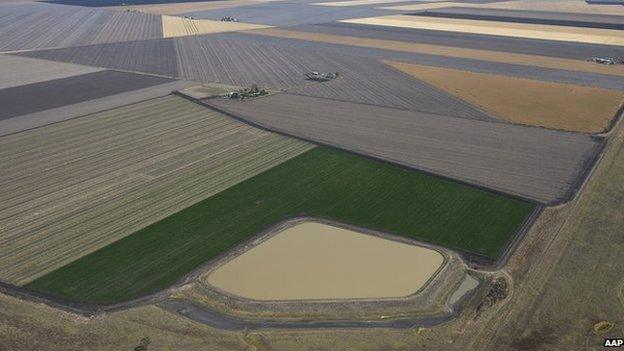 Agricultural crops in Queensland, including legumes, wheat, barley and sorghum