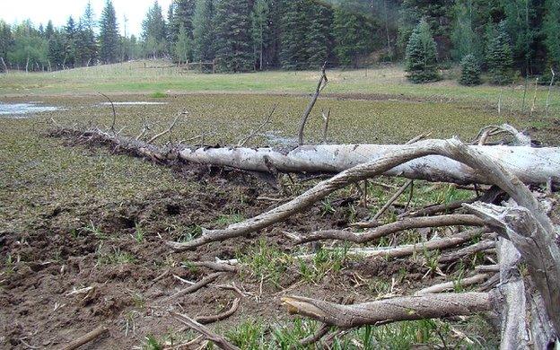 Damage at water source