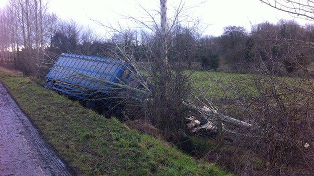 Cattle truck crash