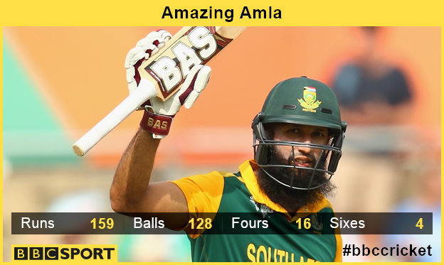 Hashim Amla graphic