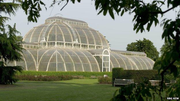 Palm House at Kew