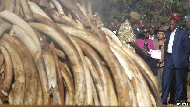 Kenya's President Uhuru Kenyatta (R) looks on as a pile of ivory is set alight