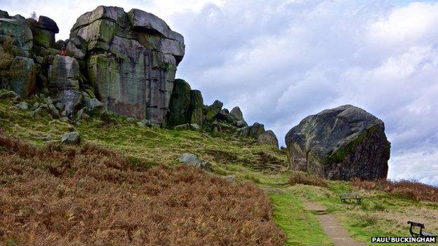 Cow and calf, near Ilkley