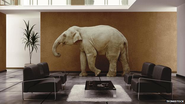 Elephant in the room