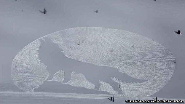 Outline of a wolf in snow