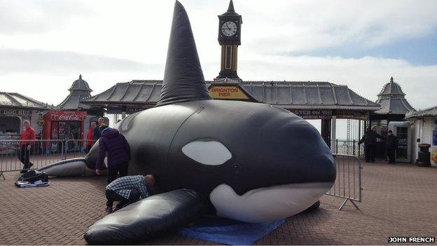 Whale Graveyard sculpture in Brighton