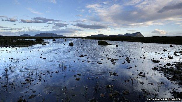 Flow Country in far north