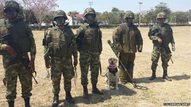 Sergeant Beltran's five men and a dog pose for a picture