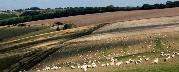 UK countryside