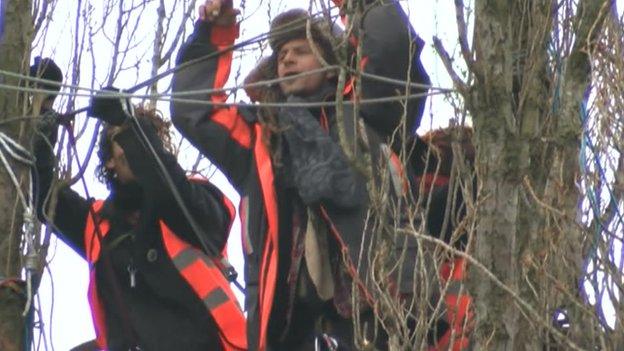 Protesters perch in the tree-tops at Stapleton Allotments in Bristol