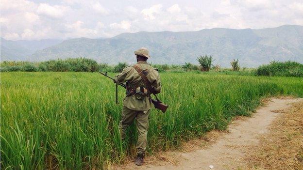 Soldier in DR Congo