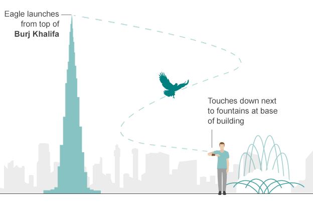 graphic showing the flight