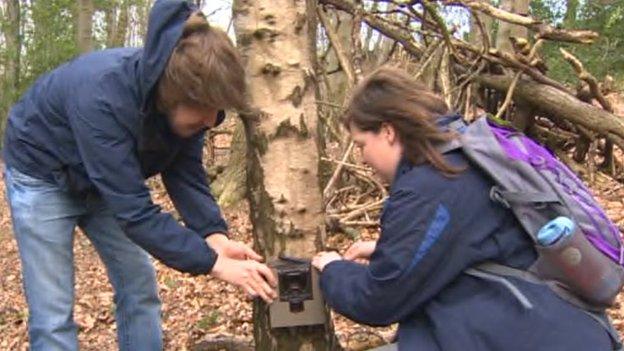 CCTV camera being fitted to a tree