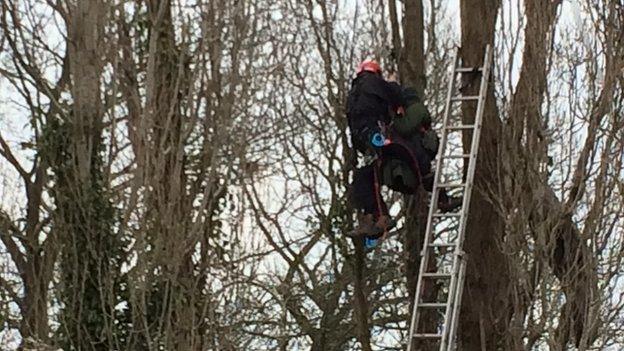 "Security specialists" have been removing tree-top protesters at Stapleton Allotments since Thursday