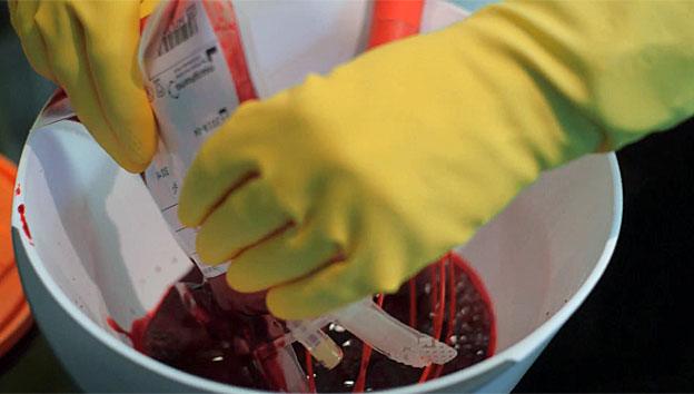 Michael Mosley's blood being put into mixing bowl