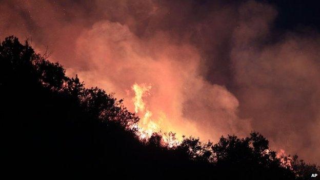 A forest fire burns in Valparaiso, Chile on 14 March, 2015