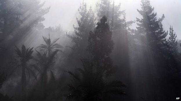 Smoke wafts through in a forest during a forest fire in Valparaiso on 14 March, 2015.