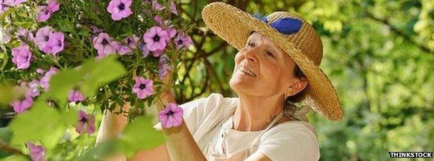 Older woman cutting flowers