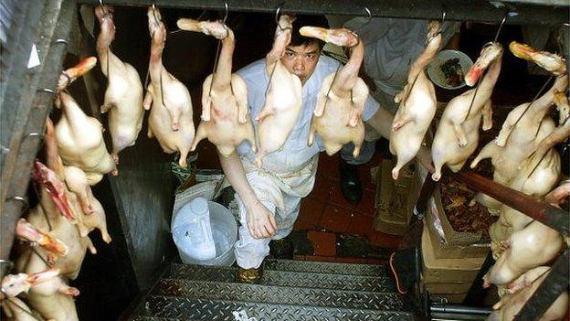 : A worker stands in a restaurant basement beneath hanging ducks on 8 July 2002 in the Chinatown section of New York City.