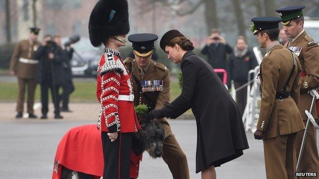 The Duchess of Cambridge, presents a sprig of shamrock to the mascot of the 1st Battalion Irish Guards, an Irish Wolfhound called Domhnall