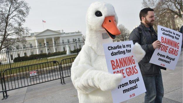 Protestors outside the White House holding placards thanking Prince Charles for his stance on Foie Gras