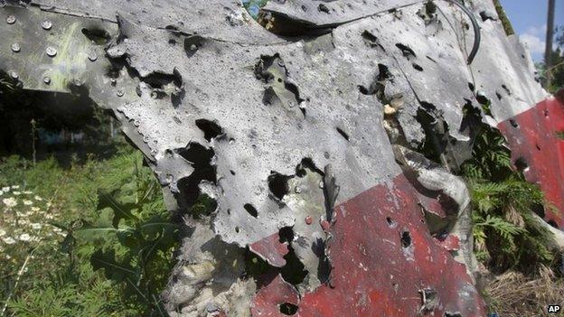 Piece of shrapnel-pierced fuselage of Malaysia Airlines flight MH17 in eastern Ukraine (23 July 2014)