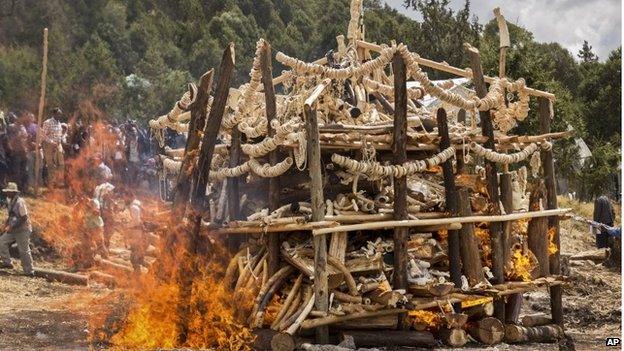 Jewellery and artefacts made of ivory are burnt outside of Addis Ababa