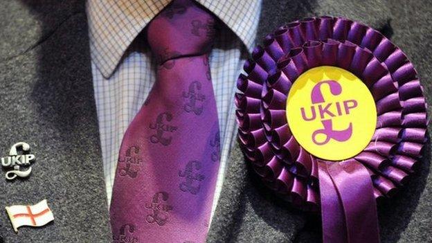 UKIP member