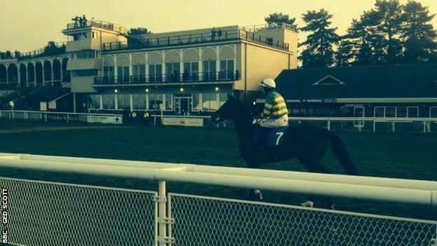 AP McCoy at Ludlow