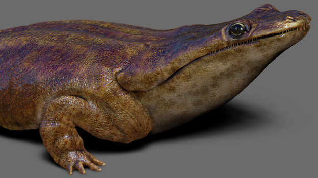 Reconstruction of metoposaurus algarvensis