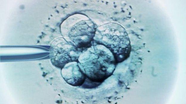 IVF under microscope