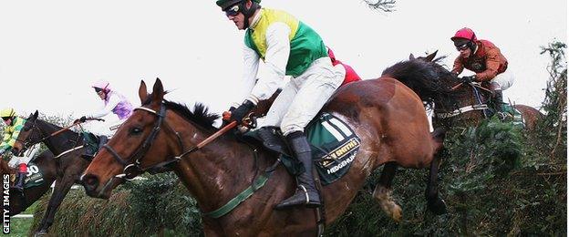 Hedgehunter, winner of the 2005 Grand National